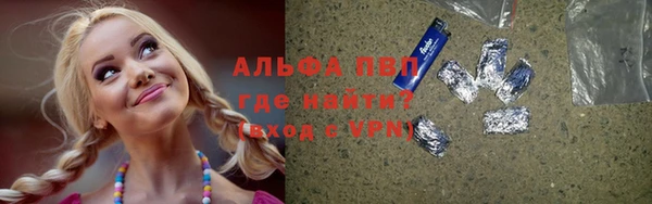 меф Пересвет