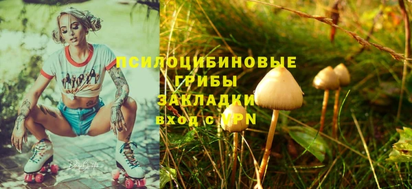меф Пересвет