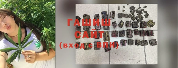 гидра Переславль-Залесский