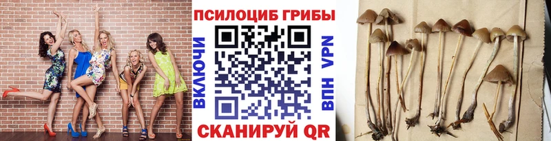 Псилоцибиновые грибы прущие грибы  как найти закладки  Холм 