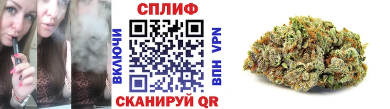 Бошки марихуана конопля  МЕГА рабочий сайт  Холм 